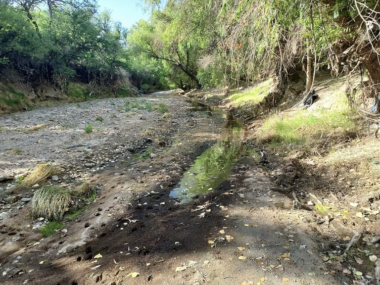 RiverWatch Update: June 24th 2025