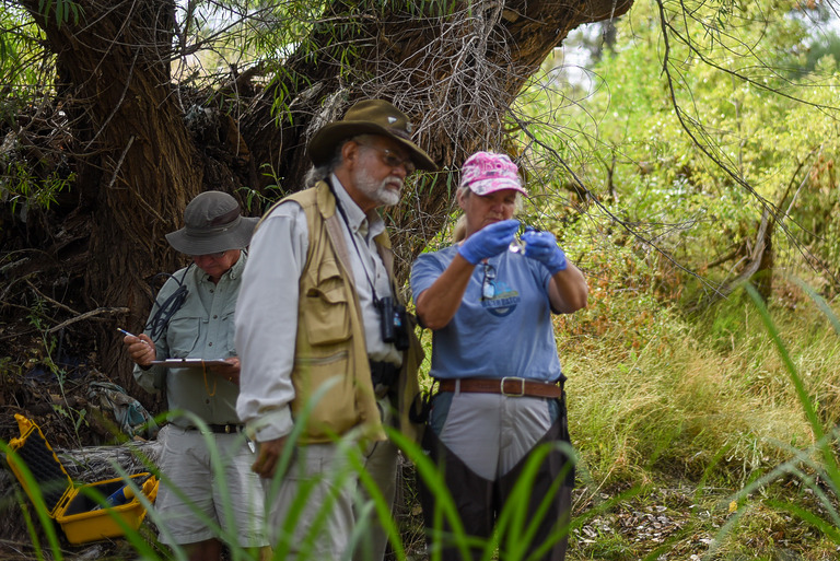 President’s Message