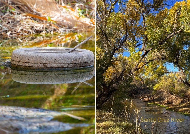 Free Tire Collection Program