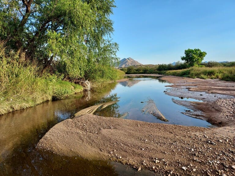 September 28, 2026 River Watch Flow End Report